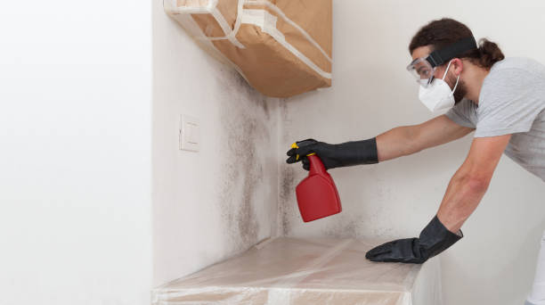 Professional Crawl Space Mold Remediation technician working in Hanover Park, IL